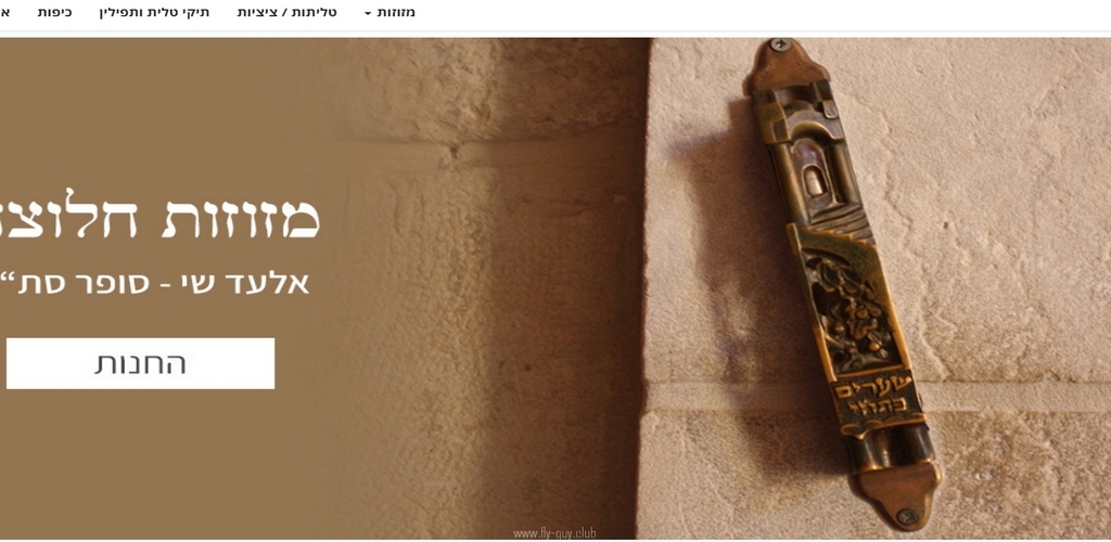 חנות אינטרנטית